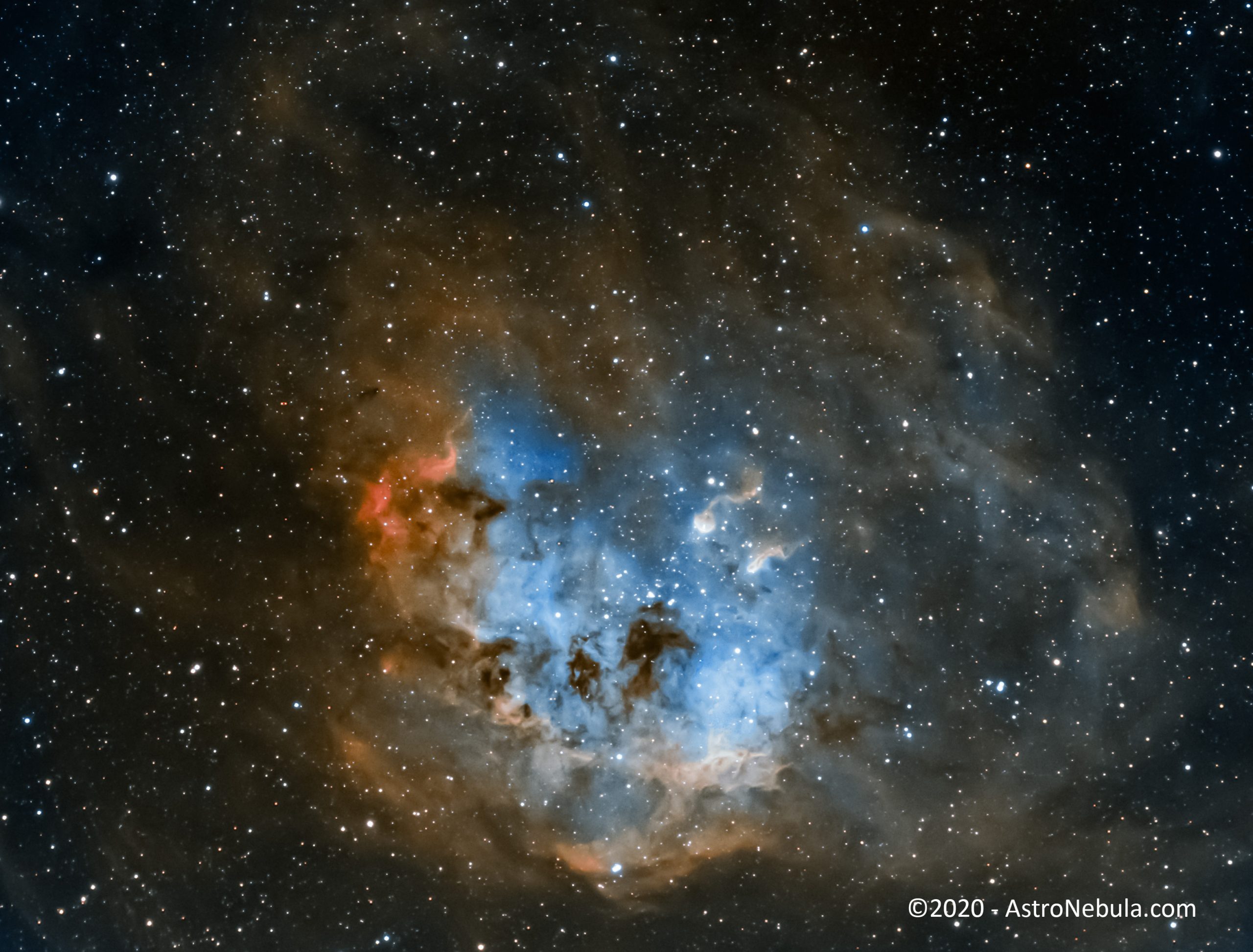 Tadpole Nebula in SHO